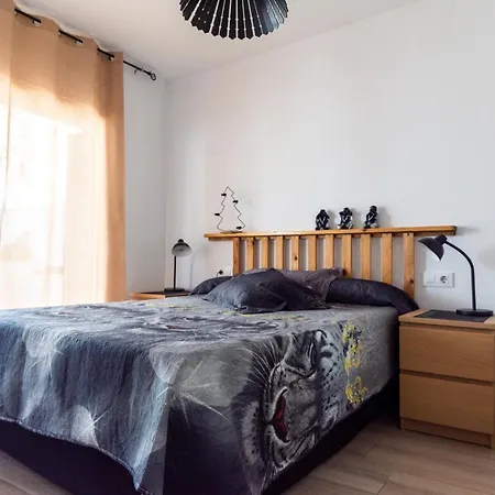 Amadeu 1, Apartmán *