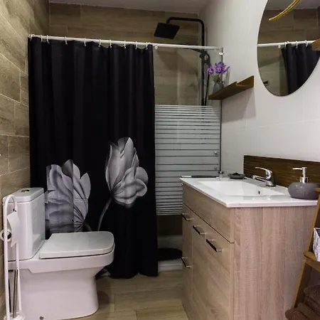 Amadeu 1, Apartmán
